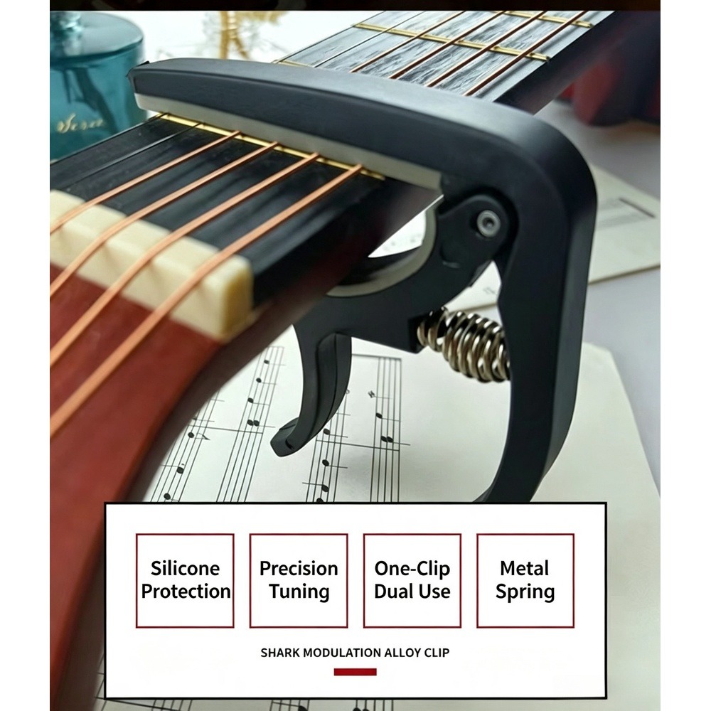 Musical Instrument Dulcimer - 2'si 1 Arada Gitar Kaposu ve