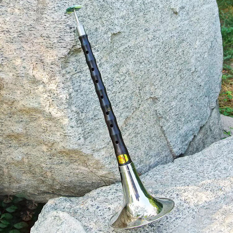 Yetişkinler İçin Suona, Gelene - Bagpipe Practice Chanter incelemesi ve fiyatı